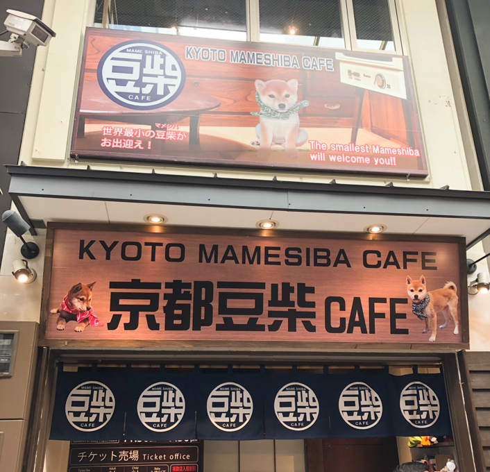 京都豆柴咖啡