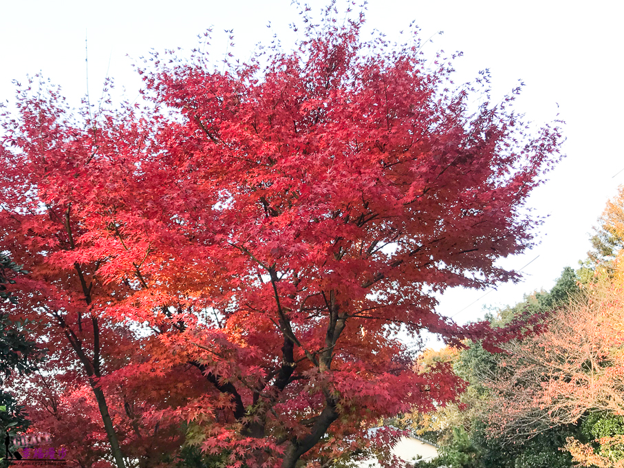 鷲羽山高地飯店