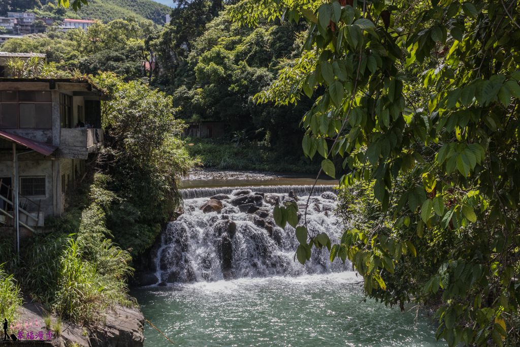 拉拉山小果農體驗之旅