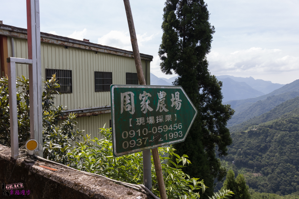 拉拉山小果農體驗之旅
