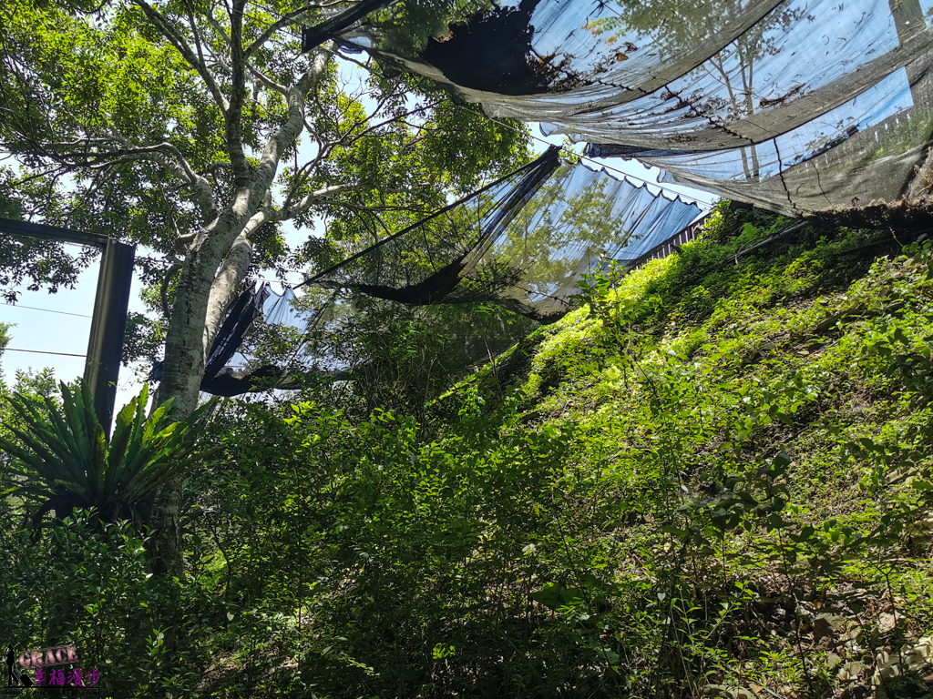 拉拉山小果農體驗之旅