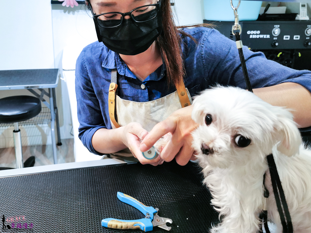 沛司寵物美容