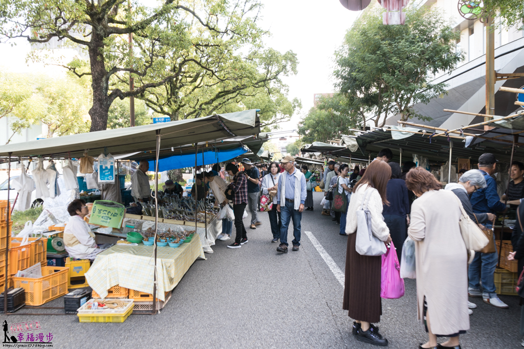 日曜市集 日曜市集