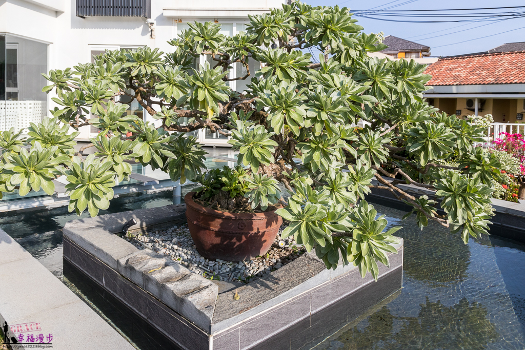 白水木水漾會館