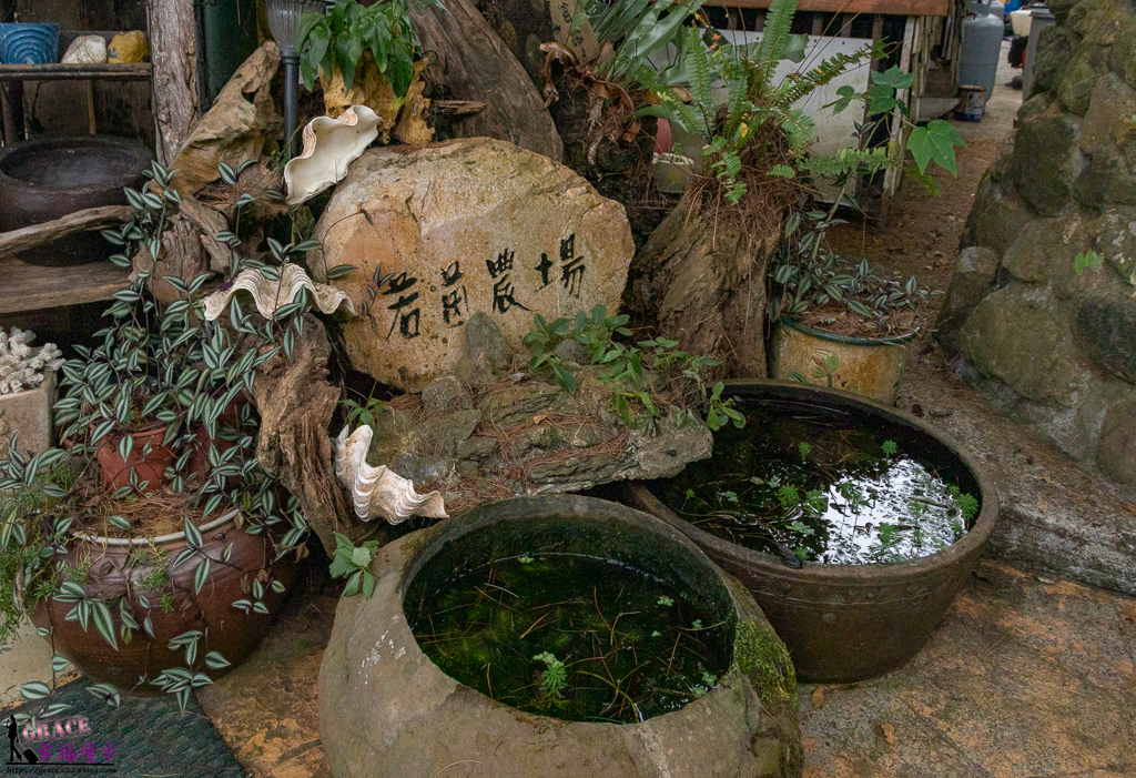 若茵農場