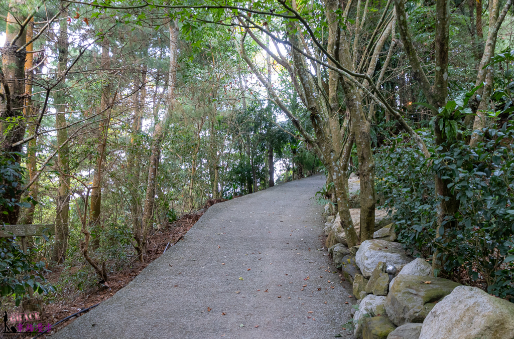 若茵農場