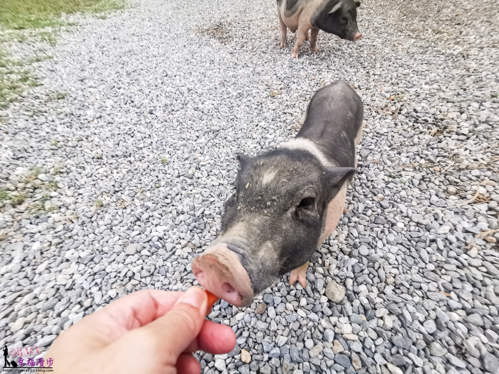 崇德瑩農場