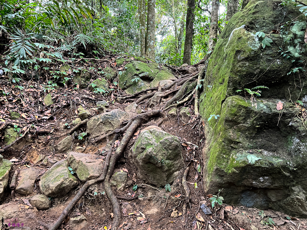 馬拉邦山,馬拉邦山步道,馬拉邦山 珠湖登山口,馬拉邦山 楓葉 馬拉邦山,馬拉邦山步道,馬拉邦山 珠湖登山口,馬拉邦山 楓葉