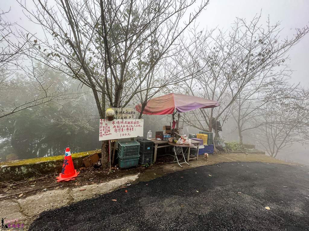 馬拉邦山,馬拉邦山步道,馬拉邦山 珠湖登山口,馬拉邦山 楓葉