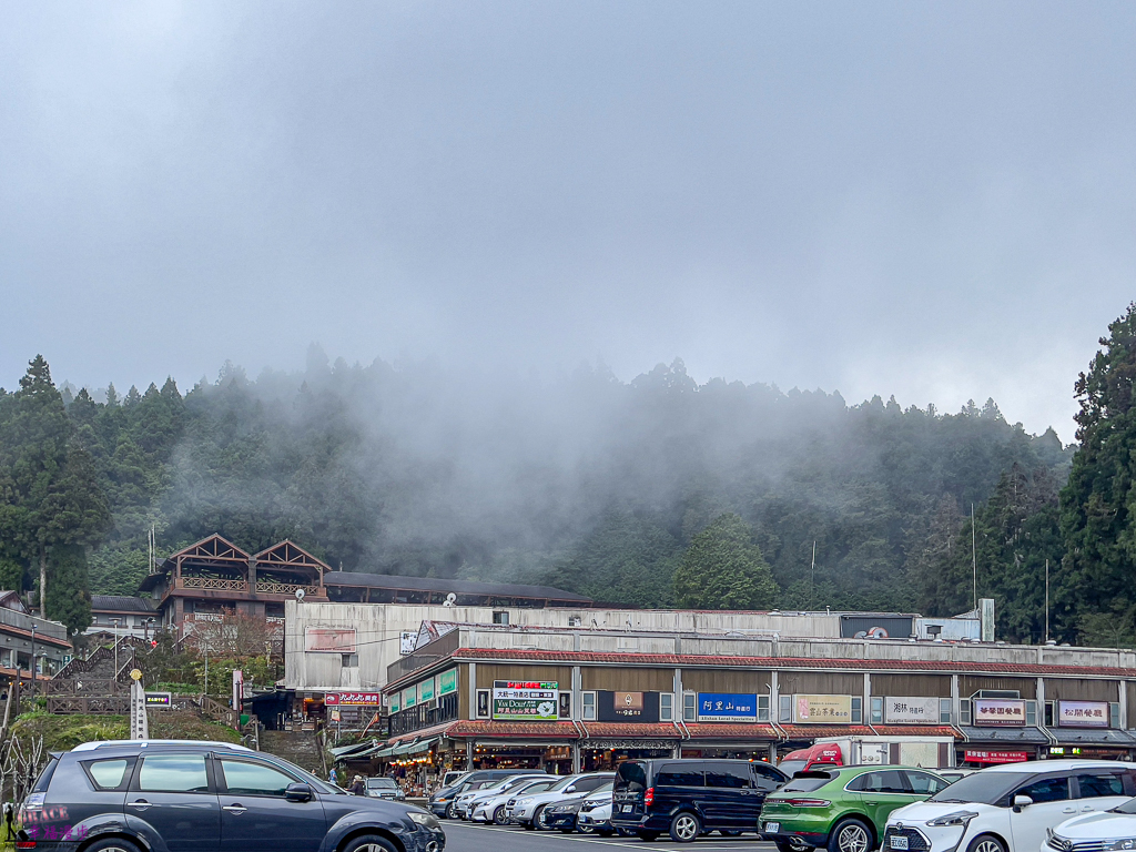 阿里山神木賓館
