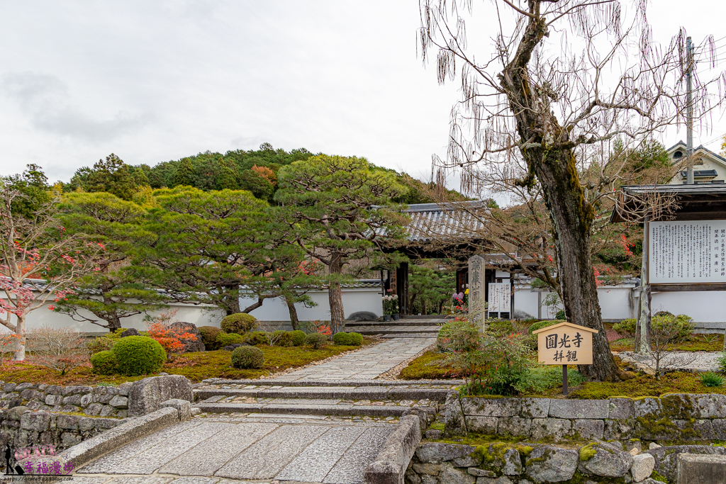 圓光寺