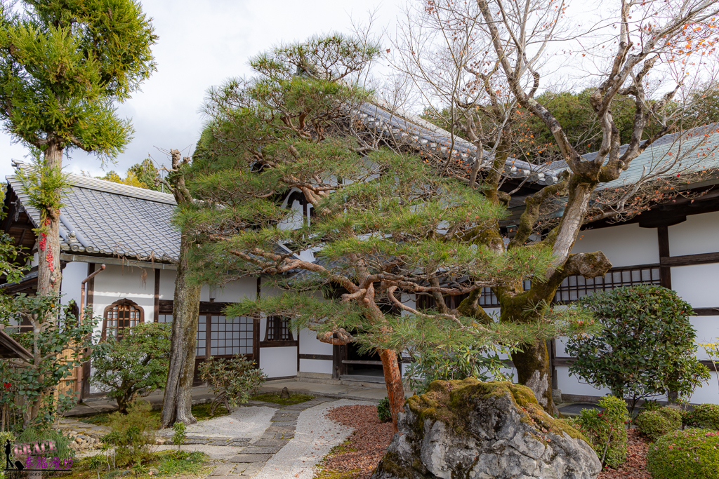 圓光寺