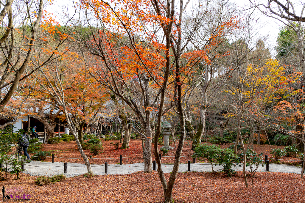 圓光寺