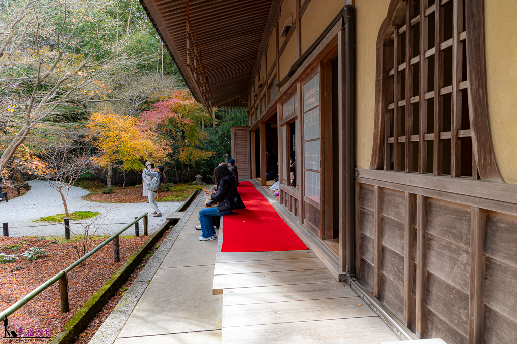 圓光寺