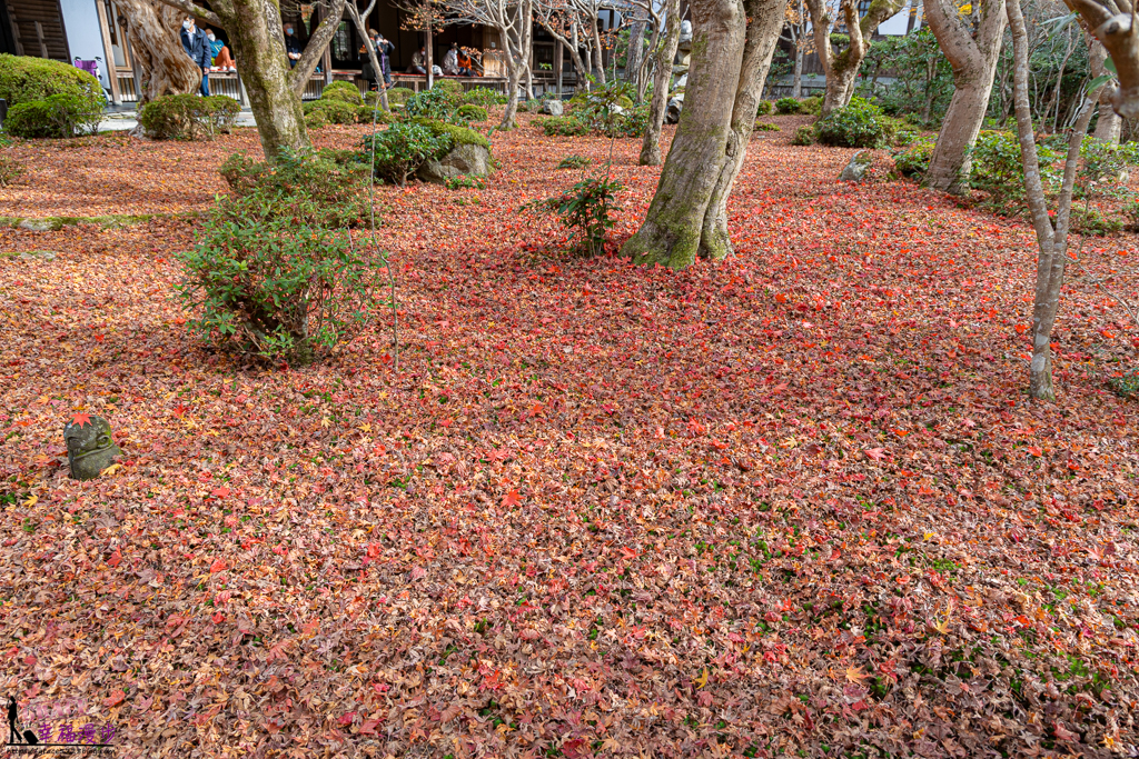 圓光寺