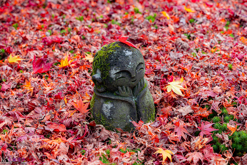 圓光寺