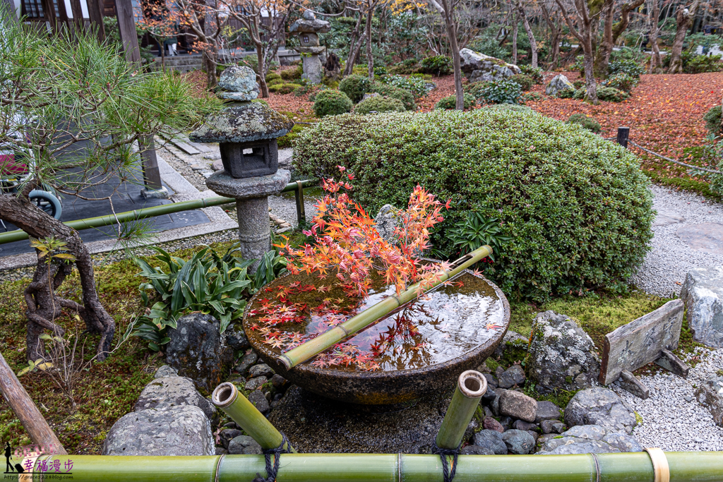 圓光寺