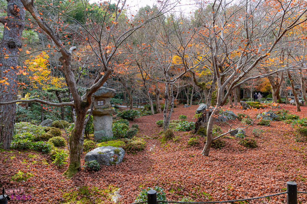 圓光寺 ,京都 圓光寺 ,京都