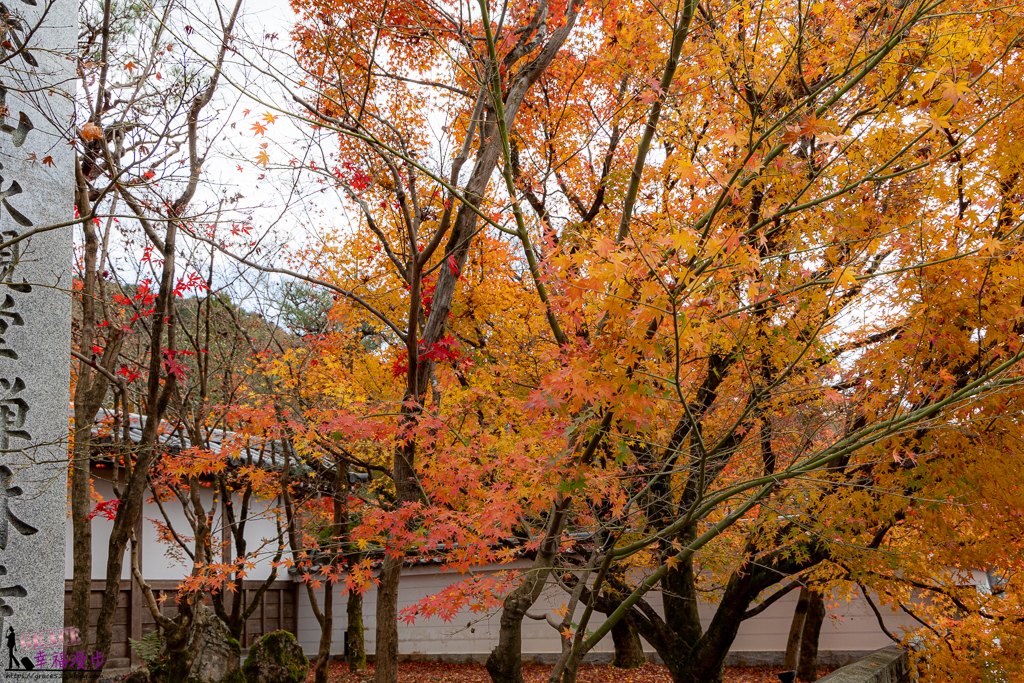 永觀堂(禪林寺),永觀堂,禪林寺,賞楓景點 永觀堂(禪林寺),永觀堂,禪林寺,賞楓景點