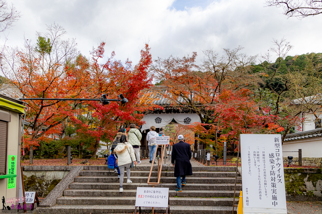 永觀堂(禪林寺),永觀堂,禪林寺,賞楓景點 永觀堂(禪林寺),永觀堂,禪林寺,賞楓景點