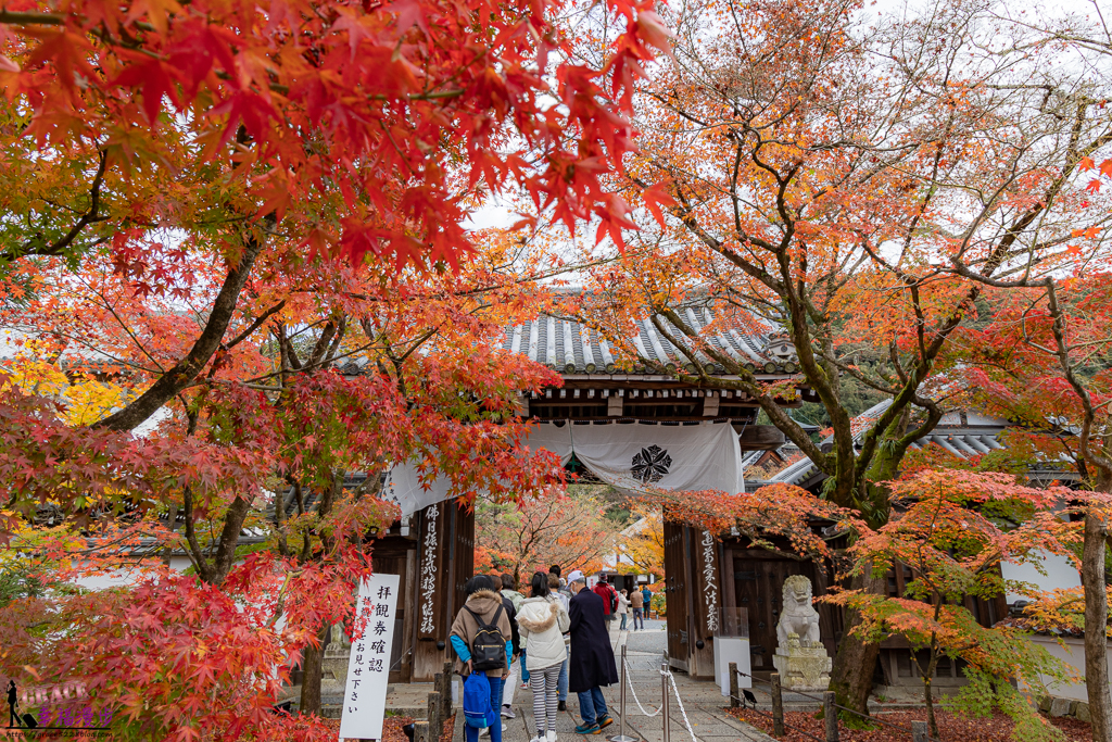 永觀堂(禪林寺),永觀堂,禪林寺,賞楓景點 永觀堂(禪林寺),永觀堂,禪林寺,賞楓景點