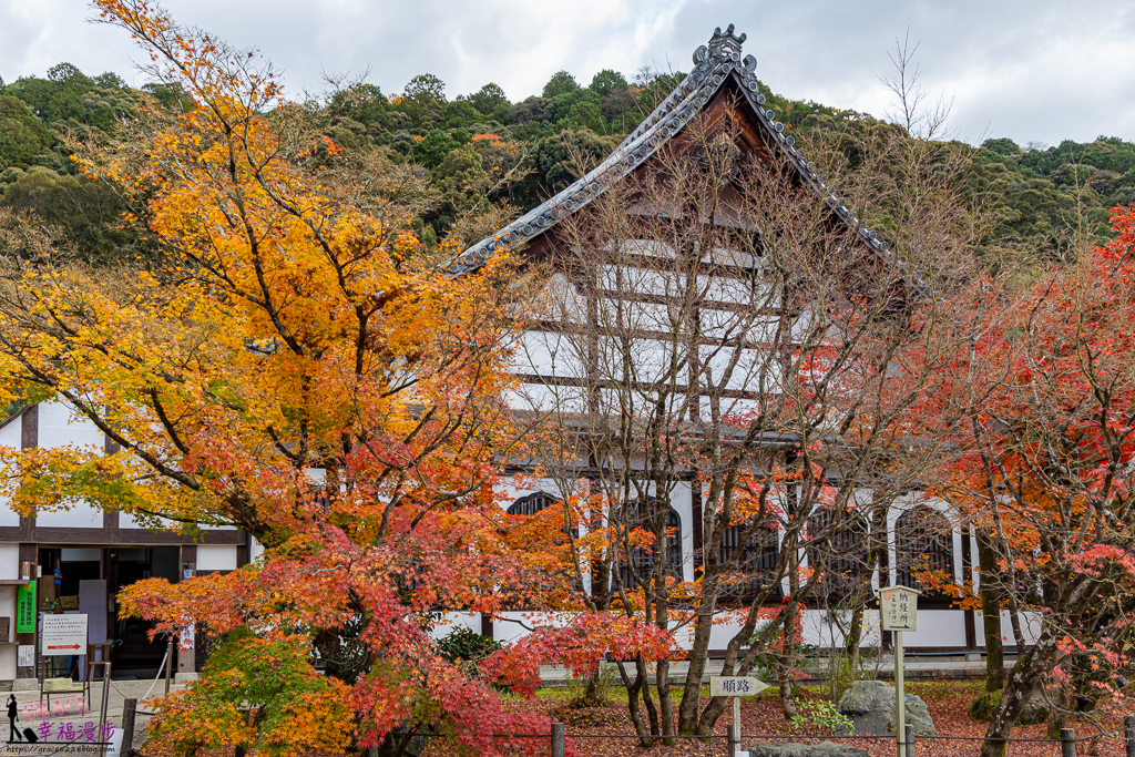 永觀堂(禪林寺),永觀堂,禪林寺,賞楓景點 永觀堂(禪林寺),永觀堂,禪林寺,賞楓景點
