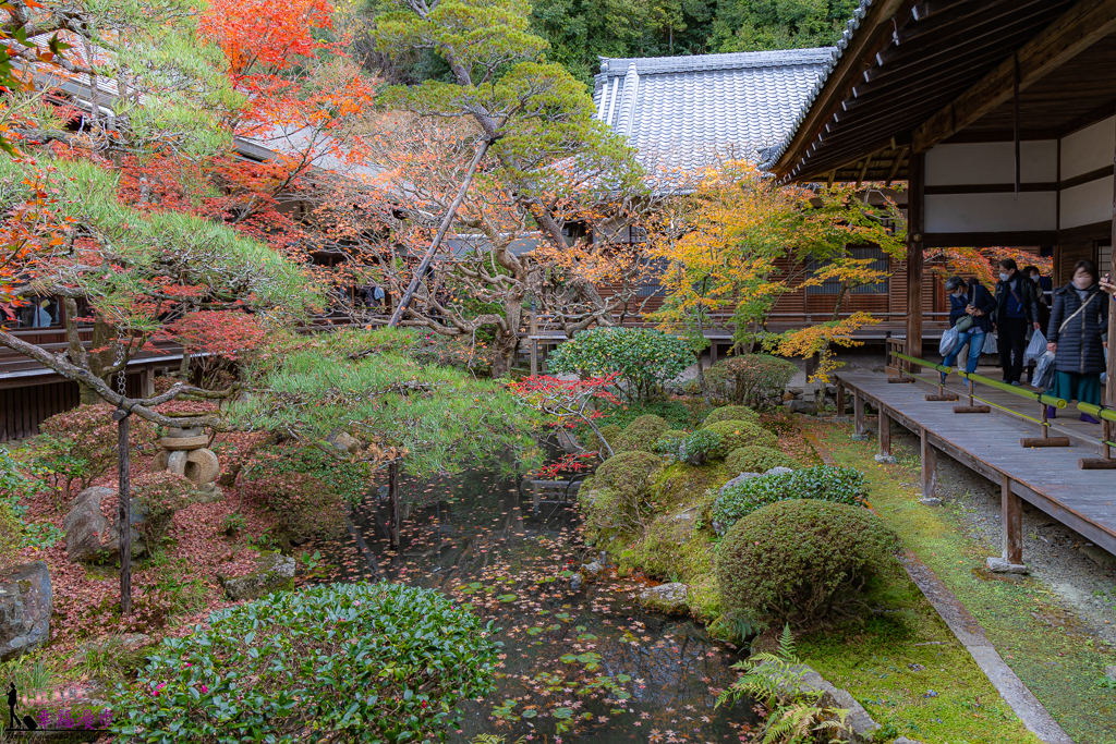 永觀堂(禪林寺),永觀堂,禪林寺,賞楓景點 永觀堂(禪林寺),永觀堂,禪林寺,賞楓景點