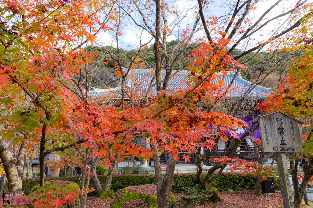 永觀堂(禪林寺)，永觀堂，禪林寺，賞楓景點
