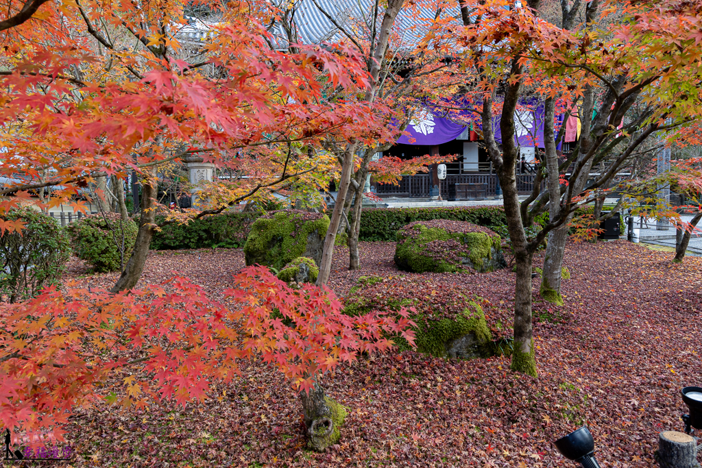 永觀堂(禪林寺),永觀堂,禪林寺,賞楓景點 永觀堂(禪林寺),永觀堂,禪林寺,賞楓景點