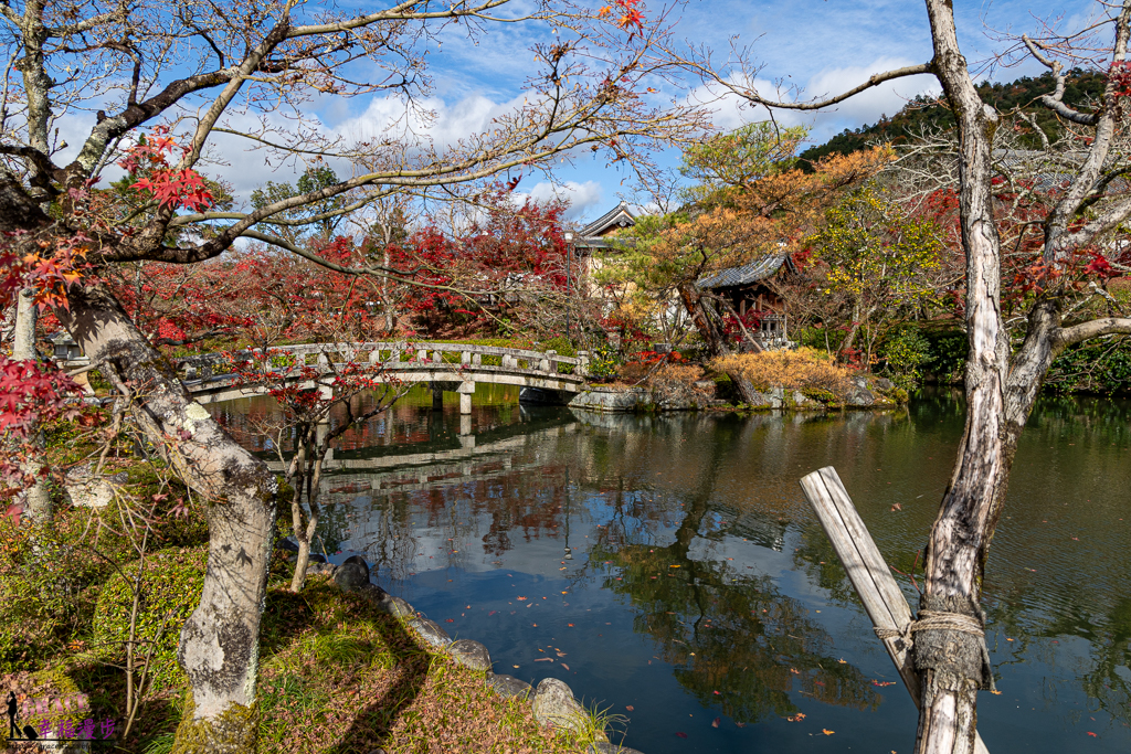 永觀堂(禪林寺)