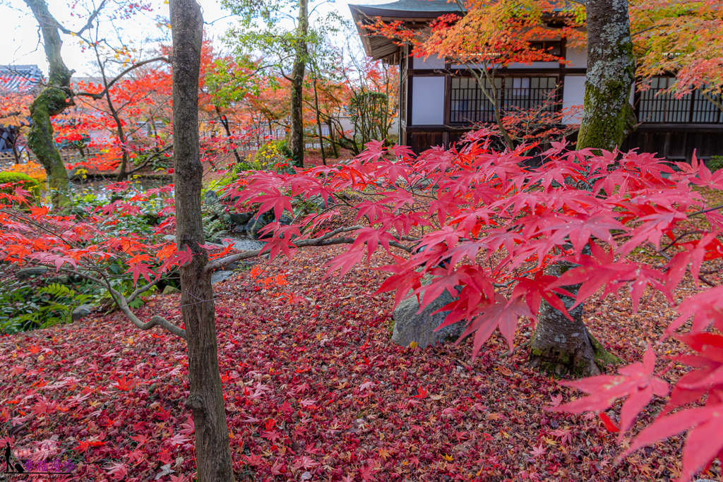 永觀堂(禪林寺)