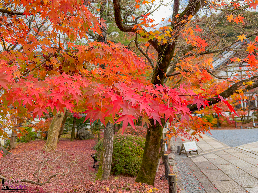 永觀堂(禪林寺)