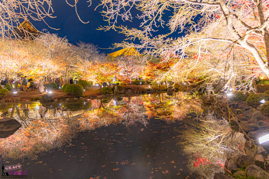 京都景點,京都景點推薦,京都東寺,京都賞楓,京都賞楓推薦,京都賞楓景點,日本東寺,東寺,東寺 夜間,東寺 夜間參拜,東寺 晚上,東寺 門票,東寺的評論,東寺賞楓 京都景點,京都景點推薦,京都東寺,京都賞楓,京都賞楓推薦,京都賞楓景點,日本東寺,東寺,東寺 夜間,東寺 夜間參拜,東寺 晚上,東寺 門票,東寺的評論,東寺賞楓