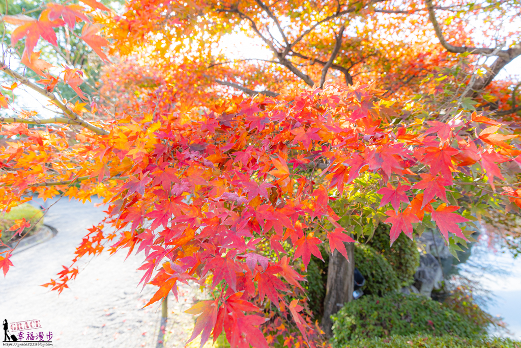 京都景點,京都景點推薦,京都東寺,京都賞楓,京都賞楓推薦,京都賞楓景點,日本東寺,東寺,東寺 夜間,東寺 夜間參拜,東寺 晚上,東寺 門票,東寺的評論,東寺賞楓 京都景點,京都景點推薦,京都東寺,京都賞楓,京都賞楓推薦,京都賞楓景點,日本東寺,東寺,東寺 夜間,東寺 夜間參拜,東寺 晚上,東寺 門票,東寺的評論,東寺賞楓