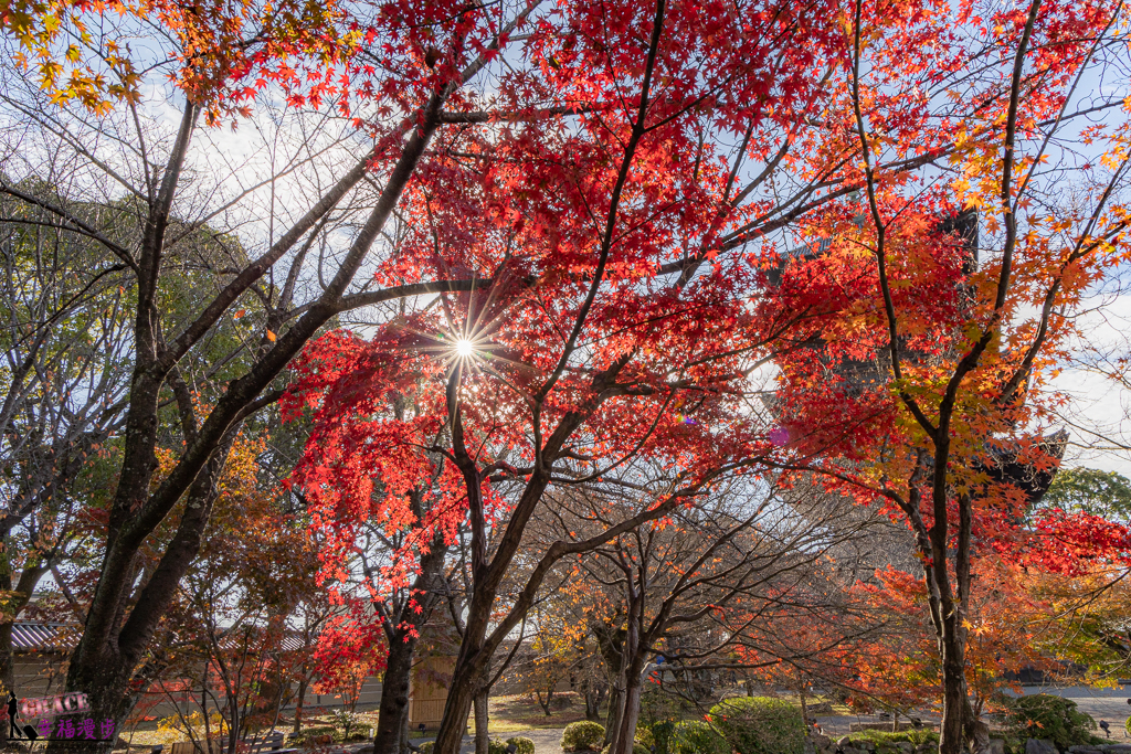 東寺