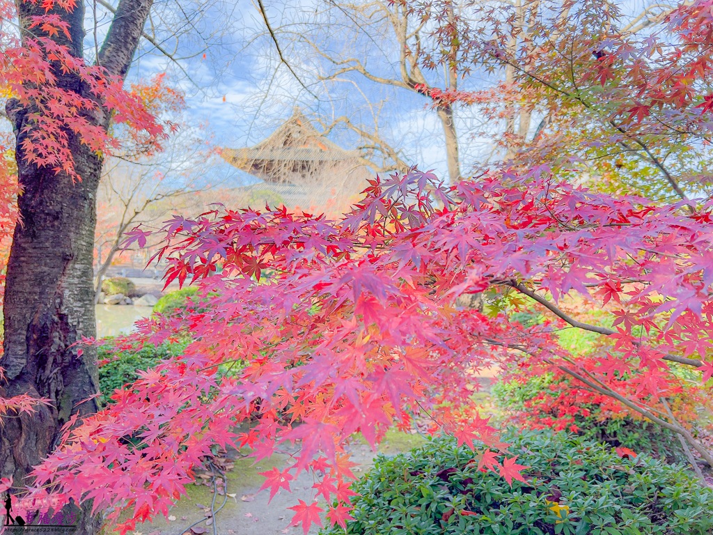 東寺