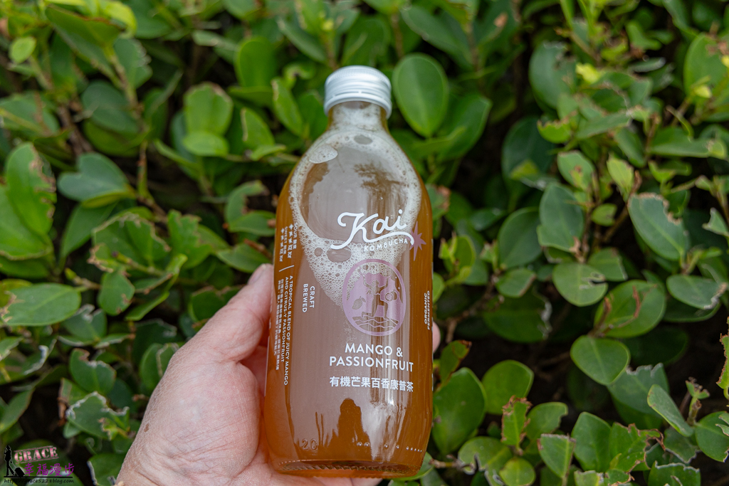 Kai有機康普茶