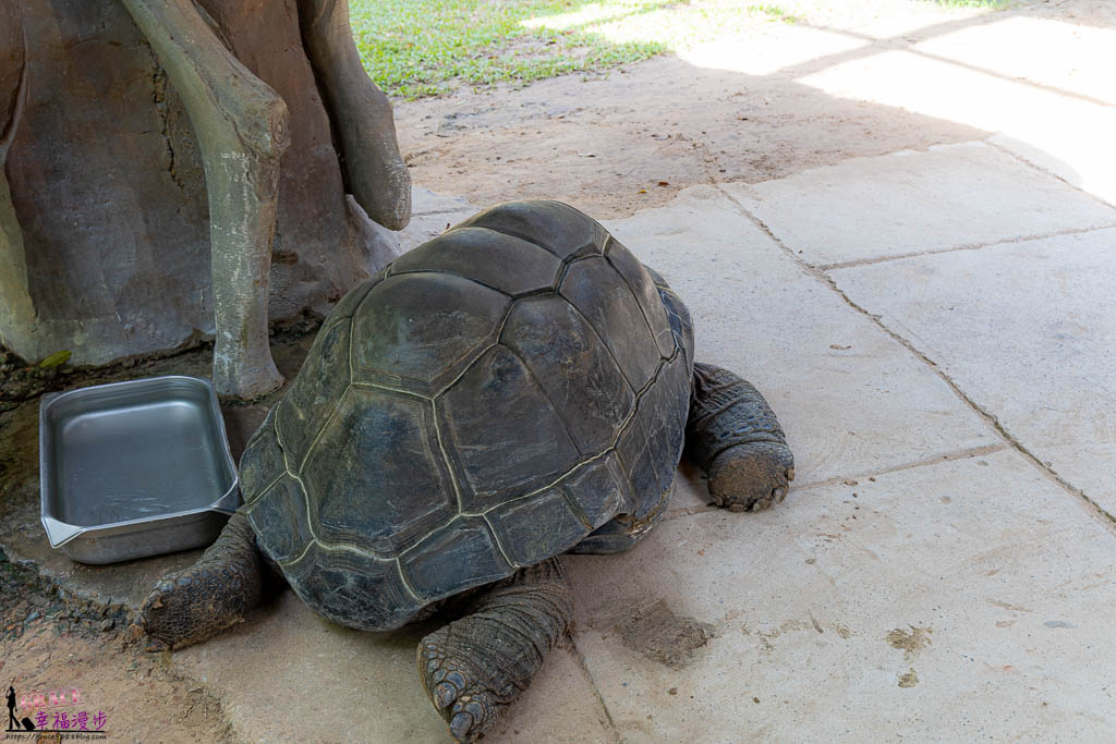 富國島珍珠野生動物園