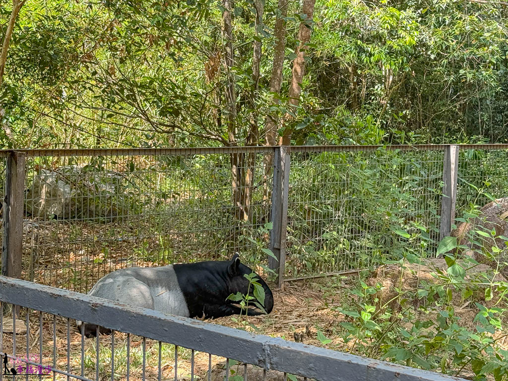富國島珍珠野生動物園