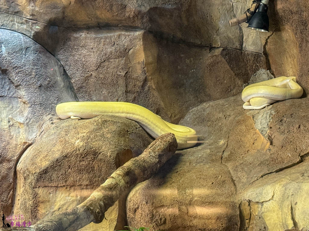 富國島珍珠野生動物園