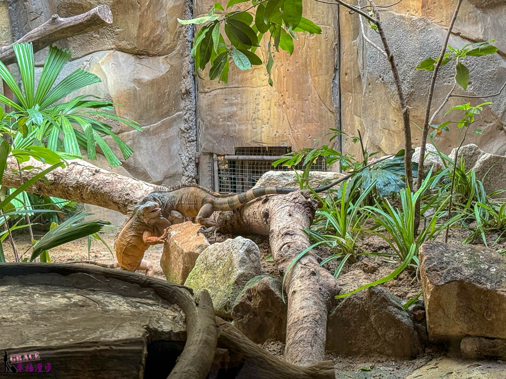富國島珍珠野生動物園
