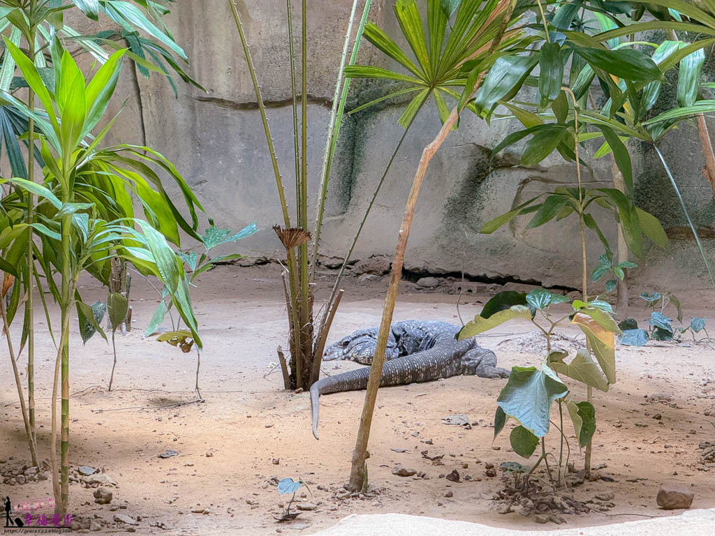 富國島珍珠野生動物園