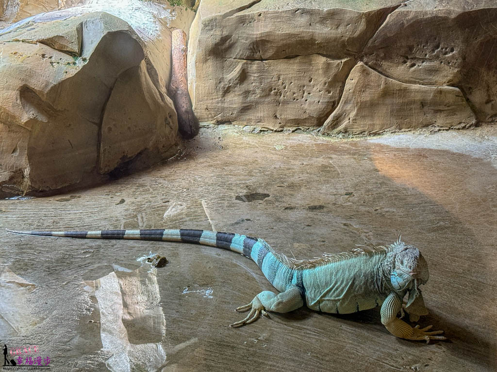 富國島珍珠野生動物園