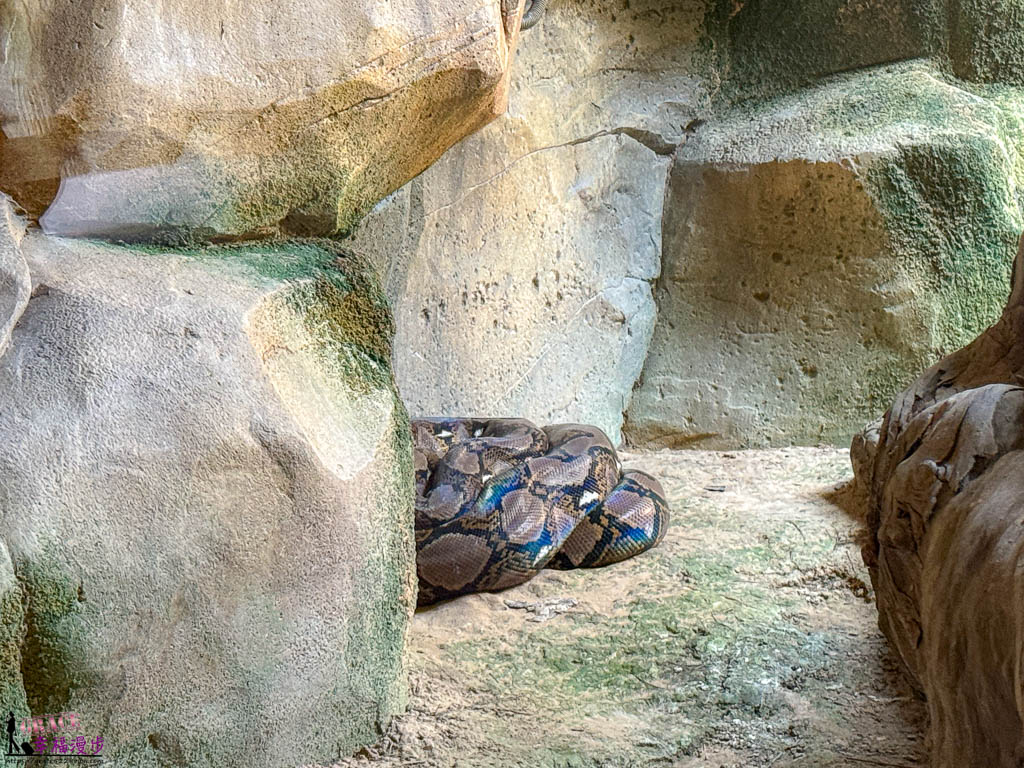 富國島珍珠野生動物園