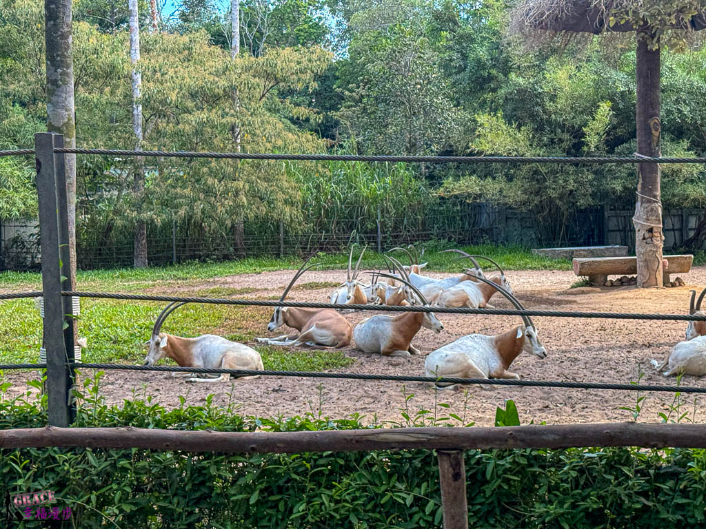富國島珍珠野生動物園