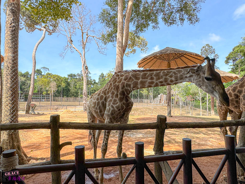 富國島珍珠野生動物園