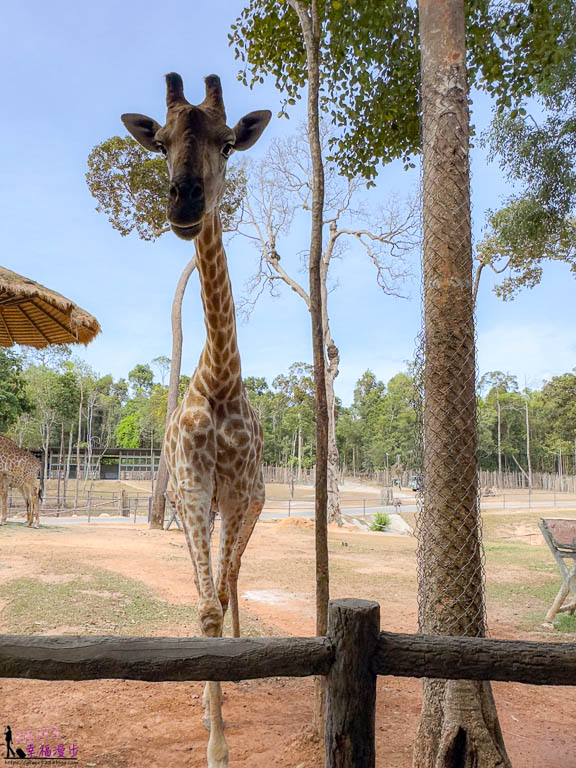 富國島珍珠野生動物園