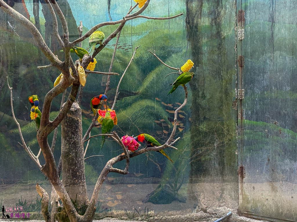 safari 富國島,富國島 親子,富國島 野生動物園,富國島動物園,富國島動物園接駁車,富國島動物園遊園車,富國島動物園餐廳,富國島旅遊,富國島旅遊推薦,富國島景點,富國島景點地圖,富國島景點推薦,富國島珍珠野生動物園,富國島珍珠野生動物園攻略,富國島的天氣,富國島行程,富國島野生動物園,富國島野生動物園遊園車,富國島野生動物園餐廳,珍珠動物園,珍珠野生動物園,珍珠野生動物園地圖,珍珠野生動物園遊園車,珍珠野生動物園餐廳,長頸鹿餐廳 safari 富國島,富國島 親子,富國島 野生動物園,富國島動物園,富國島動物園接駁車,富國島動物園遊園車,富國島動物園餐廳,富國島旅遊,富國島旅遊推薦,富國島景點,富國島景點地圖,富國島景點推薦,富國島珍珠野生動物園,富國島珍珠野生動物園攻略,富國島的天氣,富國島行程,富國島野生動物園,富國島野生動物園遊園車,富國島野生動物園餐廳,珍珠動物園,珍珠野生動物園,珍珠野生動物園地圖,珍珠野生動物園遊園車,珍珠野生動物園餐廳,長頸鹿餐廳
