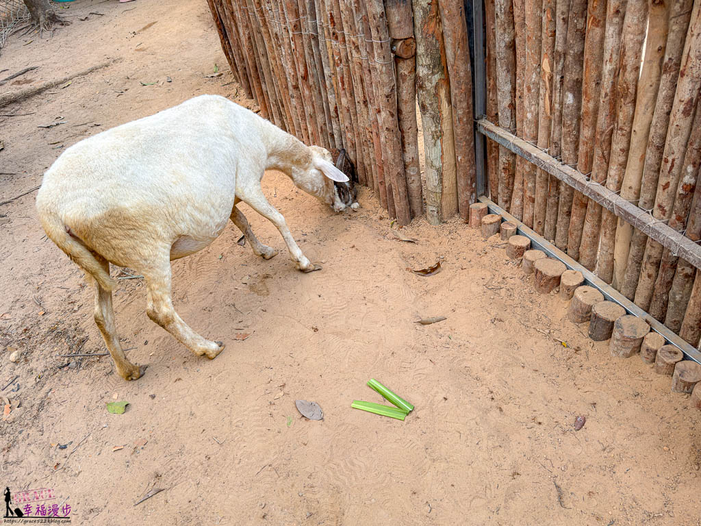 safari 富國島,富國島 親子,富國島 野生動物園,富國島動物園,富國島動物園接駁車,富國島動物園遊園車,富國島動物園餐廳,富國島旅遊,富國島旅遊推薦,富國島景點,富國島景點地圖,富國島景點推薦,富國島珍珠野生動物園,富國島珍珠野生動物園攻略,富國島的天氣,富國島行程,富國島野生動物園,富國島野生動物園遊園車,富國島野生動物園餐廳,珍珠動物園,珍珠野生動物園,珍珠野生動物園地圖,珍珠野生動物園遊園車,珍珠野生動物園餐廳,長頸鹿餐廳 safari 富國島,富國島 親子,富國島 野生動物園,富國島動物園,富國島動物園接駁車,富國島動物園遊園車,富國島動物園餐廳,富國島旅遊,富國島旅遊推薦,富國島景點,富國島景點地圖,富國島景點推薦,富國島珍珠野生動物園,富國島珍珠野生動物園攻略,富國島的天氣,富國島行程,富國島野生動物園,富國島野生動物園遊園車,富國島野生動物園餐廳,珍珠動物園,珍珠野生動物園,珍珠野生動物園地圖,珍珠野生動物園遊園車,珍珠野生動物園餐廳,長頸鹿餐廳