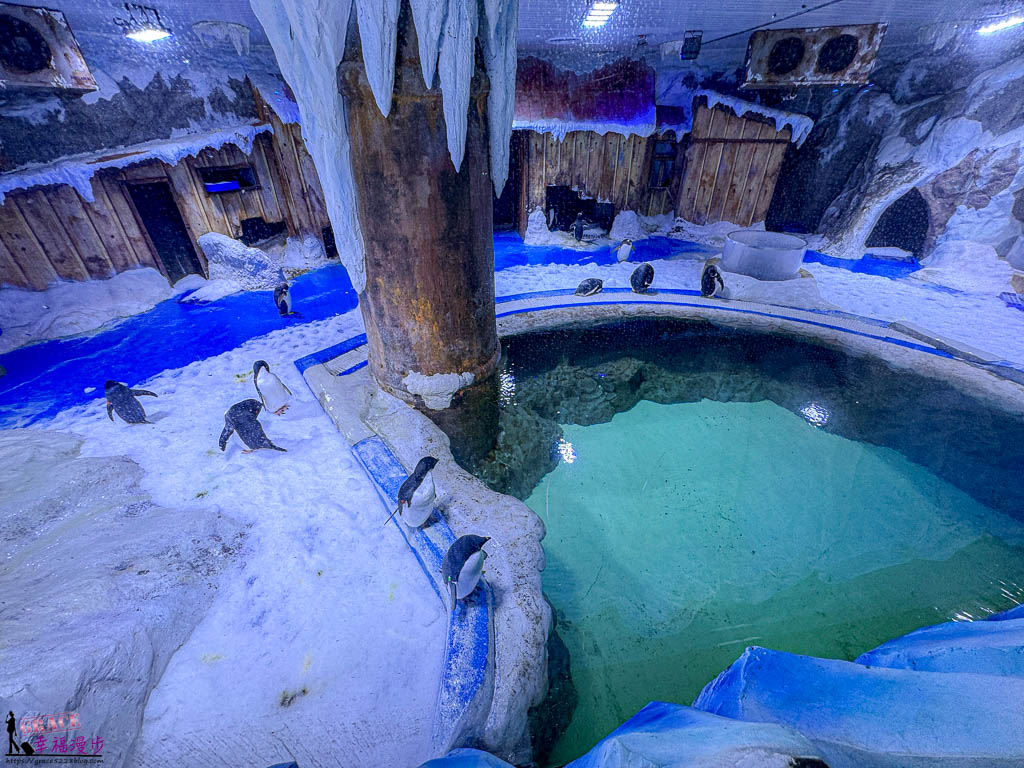 富國島珍珠遊樂園 富國島珍珠遊樂園